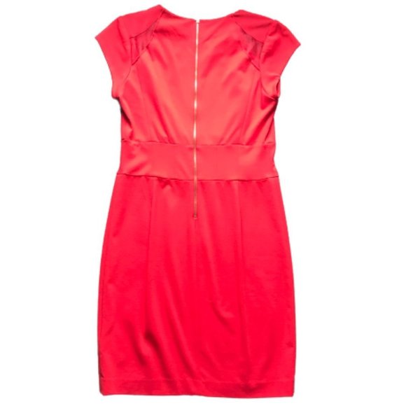 New Ted Baker London Shift Dress - Picture 3 of 8